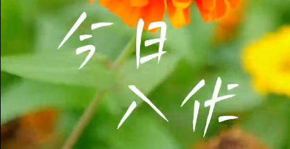 ������Ƶ | ���첻Ҫ������Ӱ������